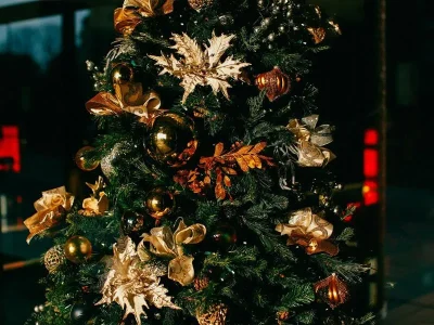 Soiree-magie-de-Noel-8211-20-12-2025-8211-Schoenenbourg_3144755