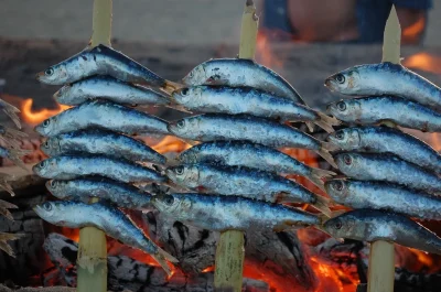 Soiree-sardinade-amp-moules-frites-8211-14-08-2026-8211-Corgnac-sur-l039Isle_3482252