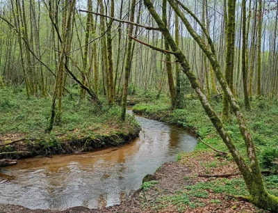 Sophrobalade-osez-une-vraie-pause-Zen-au-coeur-de-la-Nature-8211-04-06-2025-8211-Ambazac_2983657