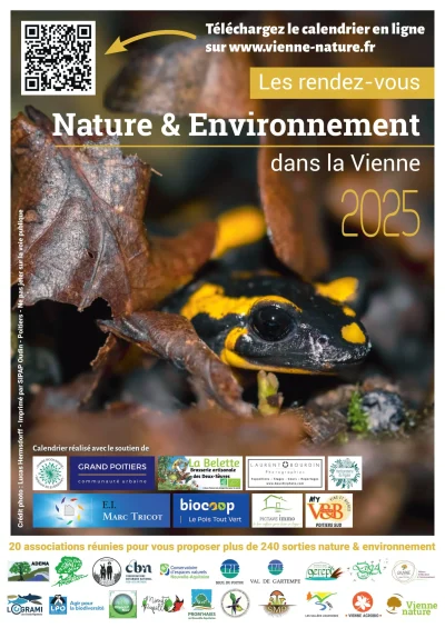 Sortie-Botanique-avec-Arbrissel-8211-27-05-2025-8211-Ternay_2258532