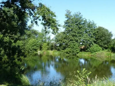 Sortie-Natura-2000-quotLes-4-Fantastiquesquot-Visite-de-l039etang-de-Berdassit-8211-01-04-2026-8211-Saint-Ciers-sur-Gironde_3473054