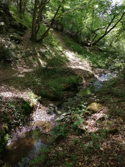 Sortie-au-Moulin-des-Fougeres-8211-19-08-2026-8211-Sidiailles_3464876