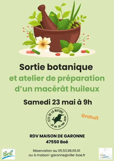 Sortie-botanique-et-preparation-dun-macerat-huileux-8211-23-05-2026-8211-Boe_3618235