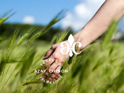 Sortie-champignon-en-Touraine-8211-18-10-2025-8211-Azay-le-Rideau_3150381