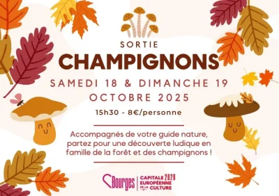Sortie-champignons-8211-Balade-ludique-en-foret-d039Allogny-8211-18-10-2025-8211-Allogny_3133755