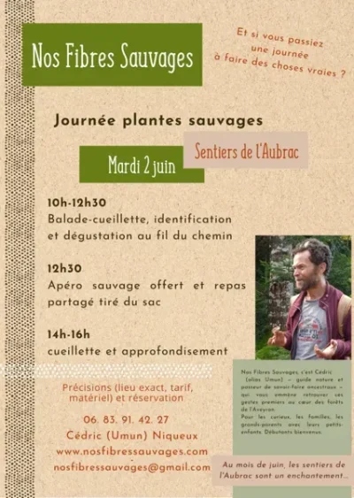 Sortie-decouverte-des-plantes-sauvages-comestibles-8211-Montezic_3775267