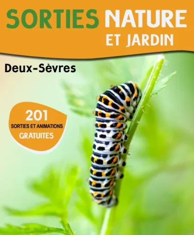 Sortie-nature-8211-Qui-vole-la-nuit-sur-l039Argenton-8211-10-08-2026-8211-Argentonnay_3543454