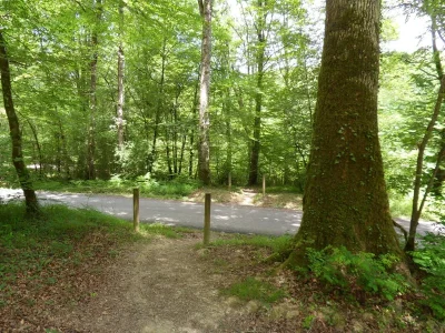 Sortie-nature-CPIE-Pays-Basque-quotChampignons-de-la-foretquot-8211-29-10-2025-8211-Oregue_2973316