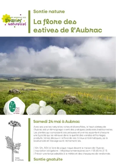 Sortie-nature-La-Flore-des-estives-de-l039Aubrac-8211-Saint-Chely-d039Aubrac_2569902