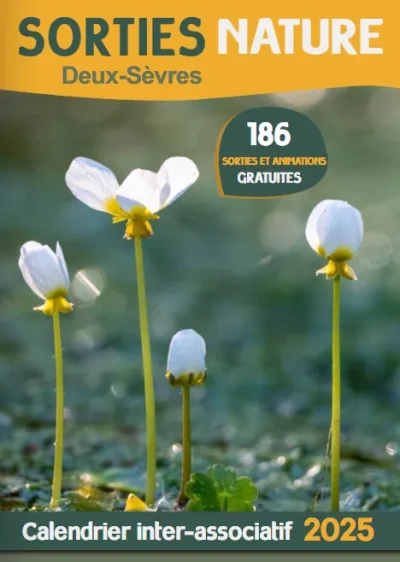 Sortie-nature-Les-insectes-des-zones-humides-du-Tallud-8211-21-06-2025-8211-Le-Tallud_2544148
