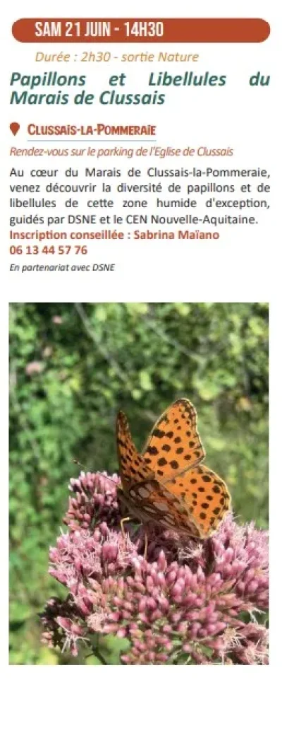 Sortie-nature-Papillons-et-Libellules-du-Marais-de-Clussais-8211-21-06-2025-8211-Clussais-la-Pommeraie_2571682