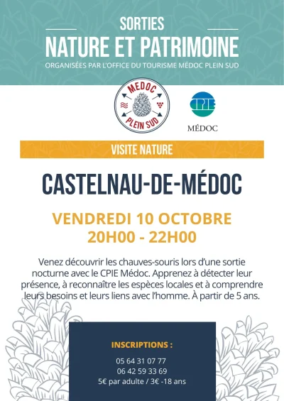 Sortie-nature-quotDecouverte-des-chauves-sourisquot-8211-10-10-2025-8211-Castelnau-de-Medoc_2938871