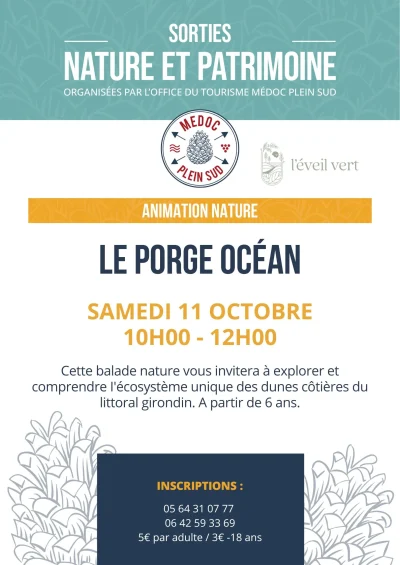 Sortie-nature.-A-la-decouverte-des-dunes-8211-11-10-2025-8211-Le-Porge_3055839