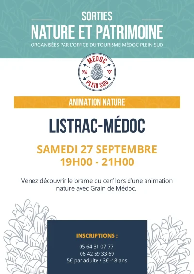 Sortie-nature.-A-lecoute-du-brame-du-cerf-8211-27-09-2025-8211-Listrac-Medoc_3019937
