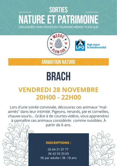 Sortie-nature.-LPO-Cine-debat-film-8211-Les-especes-mal-aimees-pigeons-pies-chauves-souris-8211-28-11-2025-8211-Brach_3015279