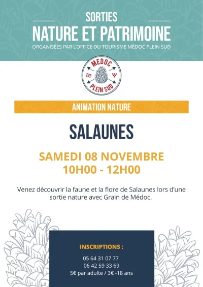 Sortie-nature.-Sortie-decouverte-milieu-naturel-a-Salaunes.-8211-08-11-2025-8211-Salaunes_2928160