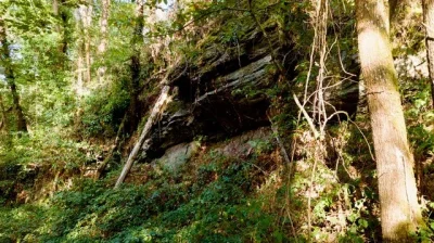 Sortie-printaniere-au-Moulin-des-Fougeres-8211-02-05-2026-8211-Sidiailles_3465117