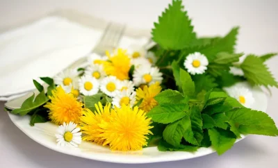 Sortie-sur-les-plantes-comestibles-8211-23-07-2025-8211-Saint-Leonard-de-Noblat_2479177