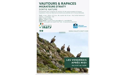 Sortie-vautours-et-rapaces-migrateurs-8211-12-09-2025-8211-Larrau_2985581