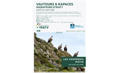 Sortie-vautours-et-rapaces-migrateurs-8211-29-08-2025-8211-Larrau_2903133