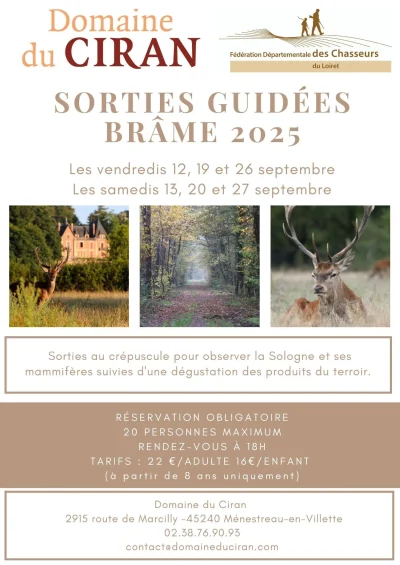 Sorties-guidees-Brame-2025-8211-12-09-2025-8211-Menestreau-en-Villette_2841329
