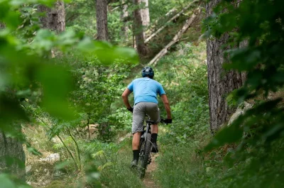 Sources-de-l039Allier-8211-VTT-n°29-8211-Mont-Lozere-et-Goulet_3727344