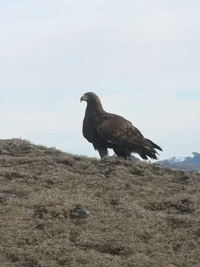 Sous-les-ailes-des-montagnes-8211-23-02-2026-8211-Eaux-Bonnes_3486051