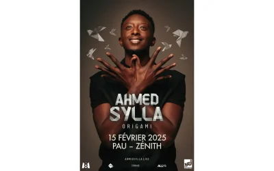 Spectacle-Ahmed-Sylla-8211-27-11-2025-8211-Pau_2360630
