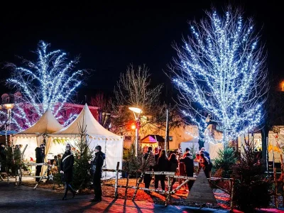 Spectacle-Cirque-de-Noel-8211-07-12-2025-8211-Niederbronn-les-Bains_3177255