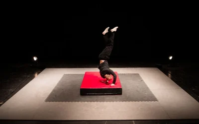 Spectacle-Main-Stenant-Es-8211-24-11-2025-8211-Ciboure_3050921
