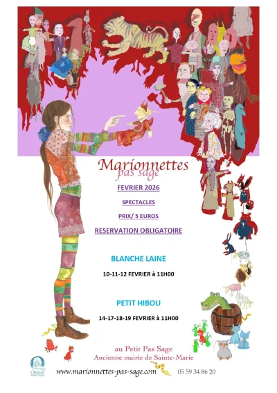 Spectacle-Marionnettes-Pas-Sage-quotPetit-Hibouquot-8211-14-02-2026-8211-Oloron-Sainte-Marie_3469653