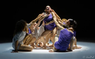 Spectacle-de-danse-Hona-8211-Le-Temps-d039Aimer-la-Danse-8211-13-09-2025-8211-Saint-Pee-sur-Nivelle_2928032