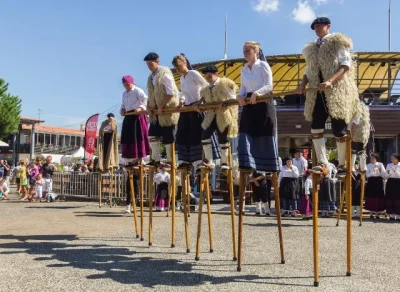 Spectacle-des-echassiers-landais-Les-Herons-des-Lacs-8211-29-07-2025-8211-Biscarrosse_2279701