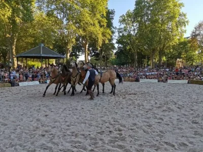 Spectacle-en-centre-ville-Scene-de-manege-Hasta-luego-8211-19-07-2025-8211-Brive-la-Gaillarde_2436061