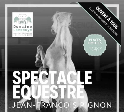 Spectacle-equestre-8211-26-06-2025-8211-Mesplede_2719306