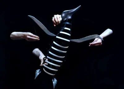 Spectacle-jeune-public-a-Figeac-Le-complexe-du-pingouin-8211-10-01-2026-8211-Figeac_2949997