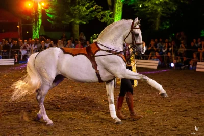 Spectacles-equestres-8211-22-07-2025-8211-Arnac-Pompadour_2148259