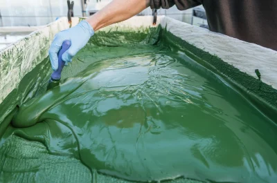 Spiruline-de-la-Pointe-d039Argent-8211-Saint-Vivien-de-Medoc_339131