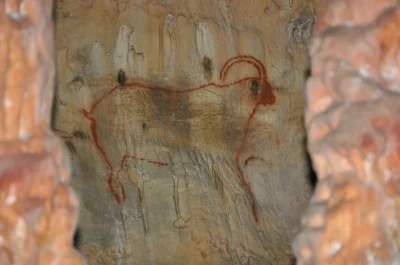 Splendeurs-et-fragilites-8211-biodiversite-et-Prehistoire-quotDiversite-de-la-faune-de-la-Prehistoire-recentequot-8211-12-07-2025-8211-Gourdon_2253467