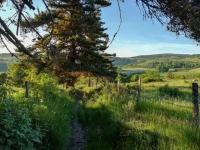 St-Amans-Rieutort-8211-Trail-n°12-8211-Monts-de-Randon_3760358