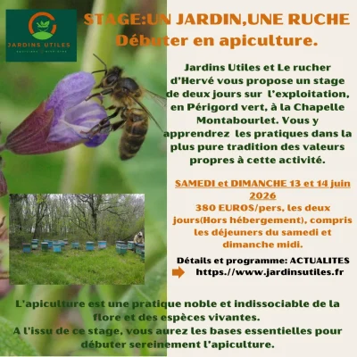 Stage-Apiculture-en-Perigord-8211-13-06-2026-8211-La-Chapelle-Montabourlet_3482629
