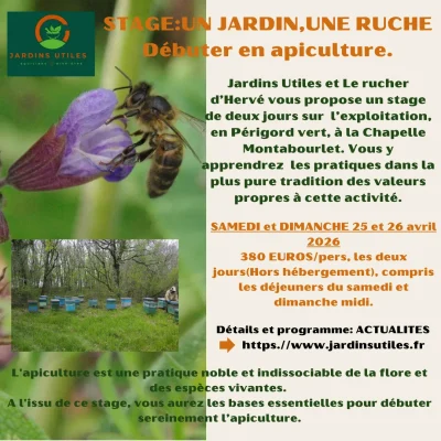 Stage-Apiculture-en-Perigord-8211-25-04-2026-8211-La-Chapelle-Montabourlet_3481968