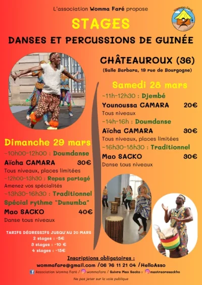 Stage-Danses-et-percussions-de-Guinee-8211-Chateauroux_3529347