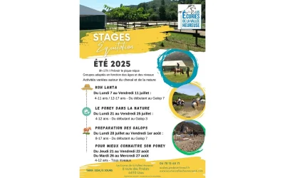 Stage-Equitation-Ete-2025-8211-07-07-2025-8211-Uzos_2620568