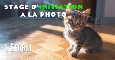 Stage-Initiation-a-la-Photographie-8211-25-01-2026-8211-Neuvic_3329526