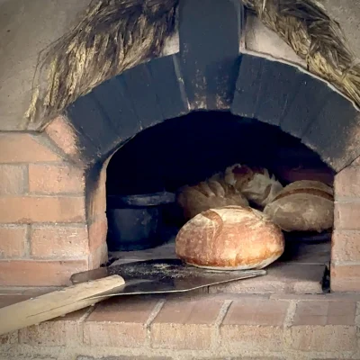 Stage-Pain-et-pizza-au-levain-8211-Henrichemont_3629929