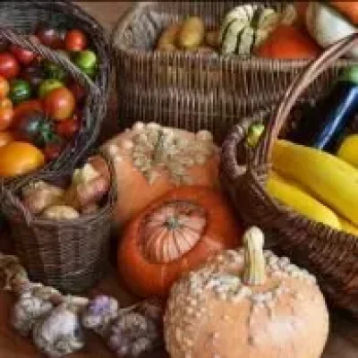 Stage-Potager-permacole-Nouvelle-formule-8211-Saint-Laurent-de-Levezou_2255705
