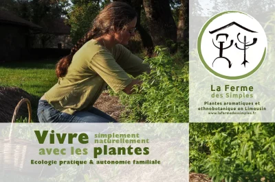 Stage-Vivre-avec-la-Terre-8211-19-07-2025-8211-Vayres_2575720