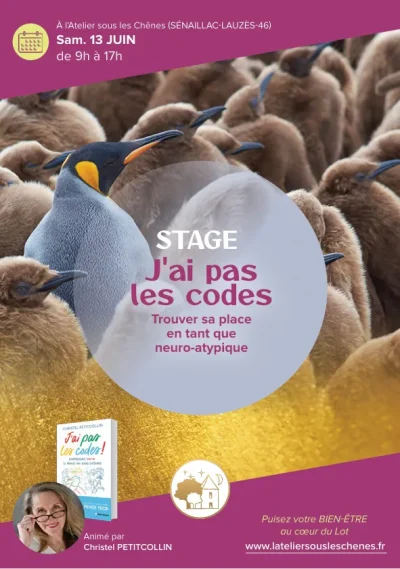 Stage-a-l039Atelier-sous-les-Chenes-8211-J039ai-pas-les-codes-trouver-sa-place-en-tant-que-neuro-atypique-Avec-Christelle-Petitcollin-8211-13-06-2026-8211-Senaillac-Lauzes_3585642