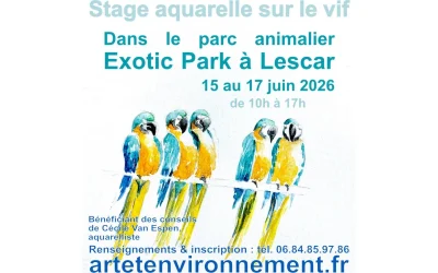 Stage-aquarelle-sur-le-vif-8211-15-06-2026-8211-Lescar_3473899